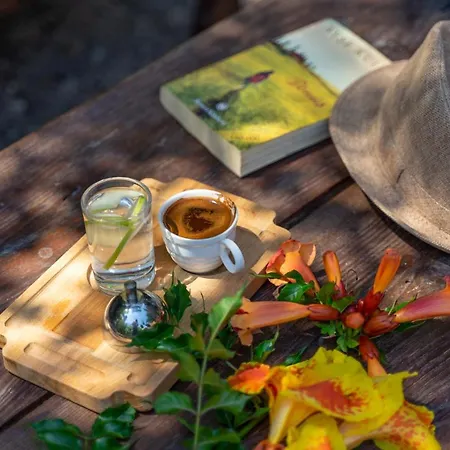 Iskelem 4* 阿奇亚卡